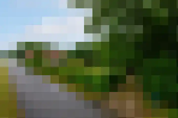 Steenwijkerweg 107 De Blesse thumbnail 31