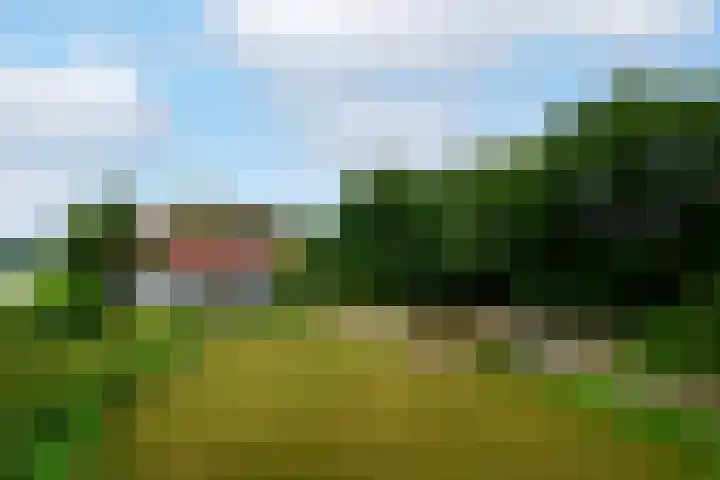 Steenwijkerweg 107 De Blesse thumbnail 33