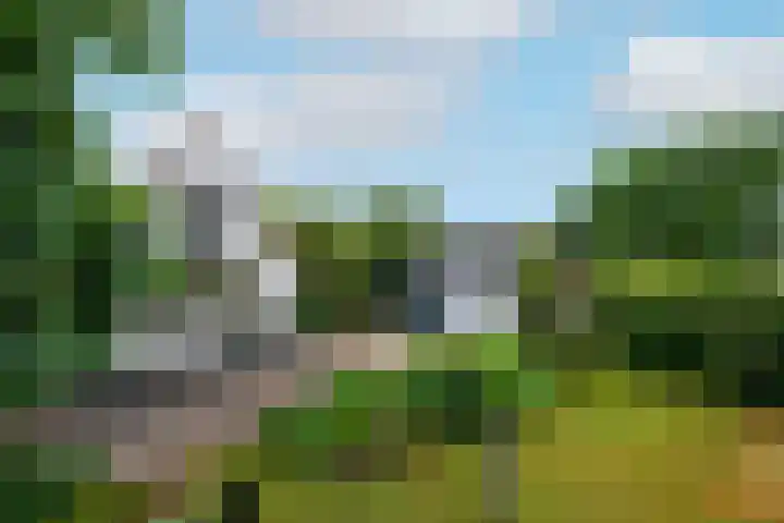 Steenwijkerweg 107 De Blesse thumbnail 37