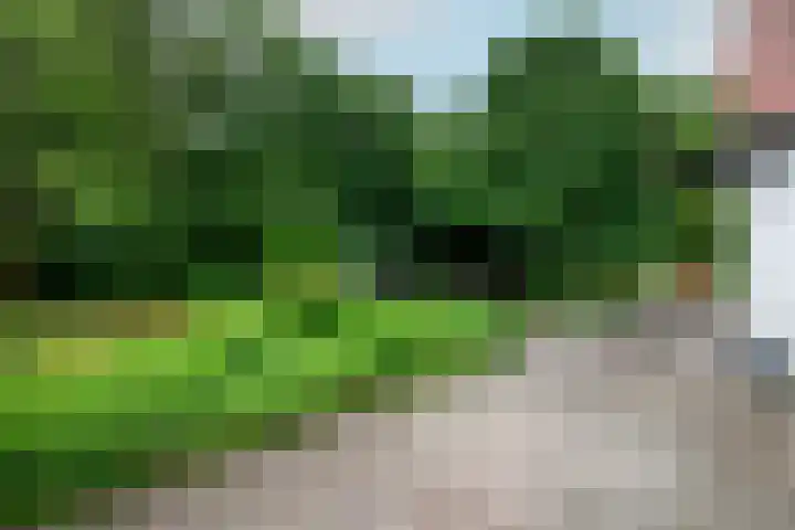 Steenwijkerweg 107 De Blesse thumbnail 38