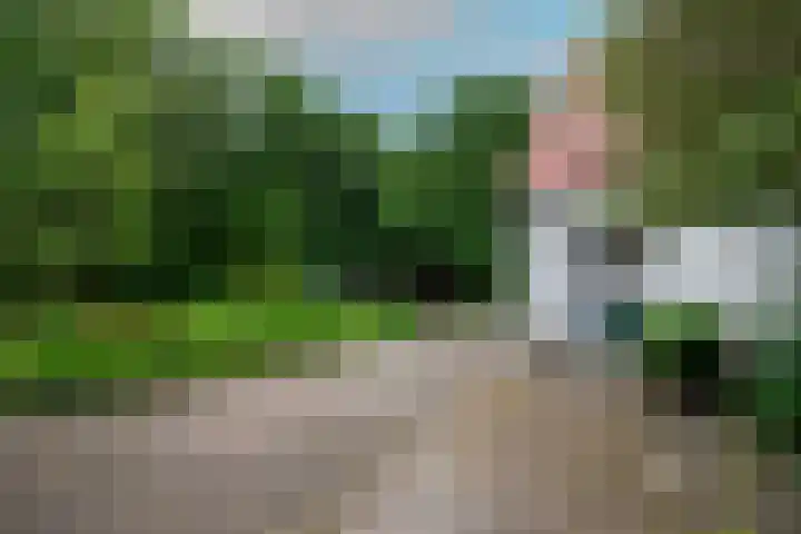 Steenwijkerweg 107 De Blesse thumbnail 39
