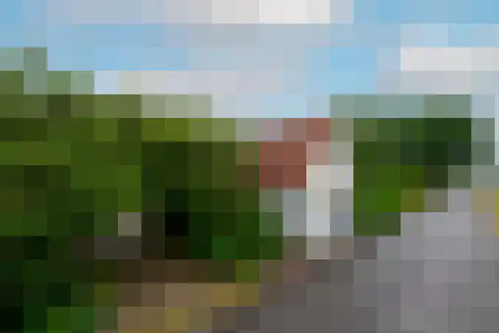 Steenwijkerweg 107 De Blesse thumbnail 4