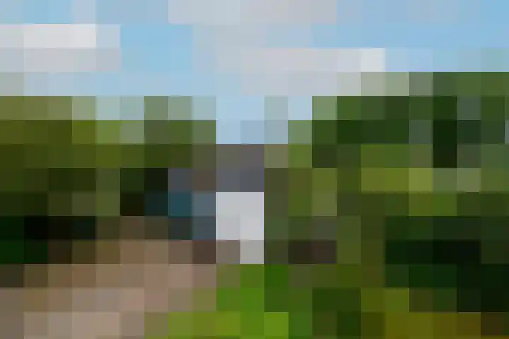Steenwijkerweg 107 De Blesse thumbnail 40