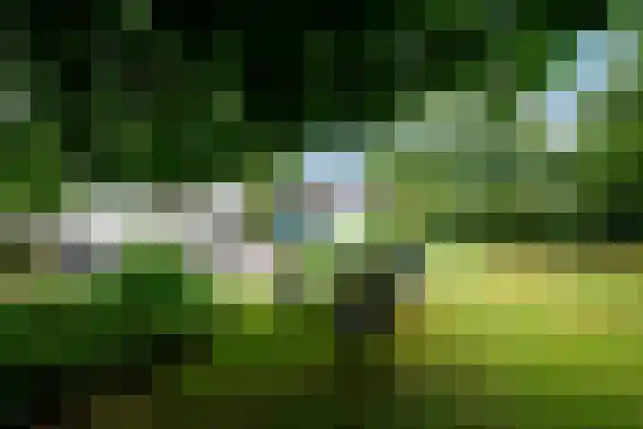 Steenwijkerweg 107 De Blesse thumbnail 41