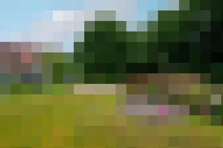 Steenwijkerweg 107 De Blesse thumbnail 43