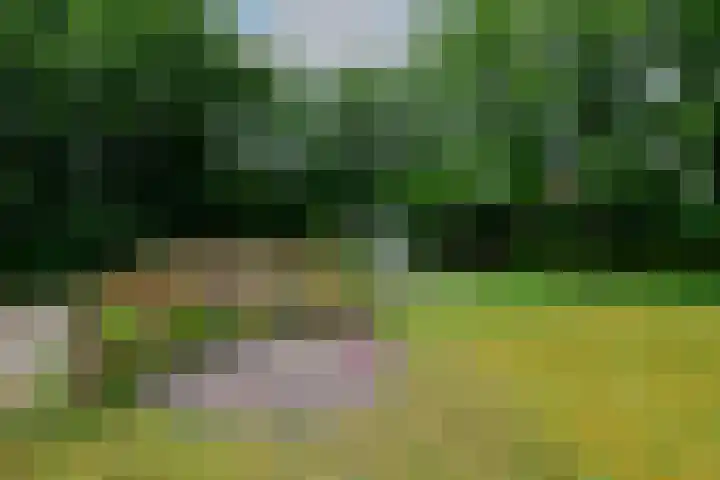 Steenwijkerweg 107 De Blesse thumbnail 44