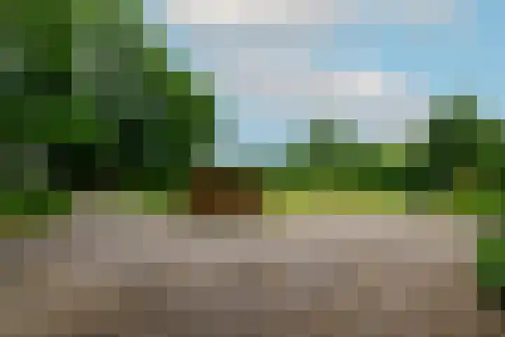 Steenwijkerweg 107 De Blesse thumbnail 45