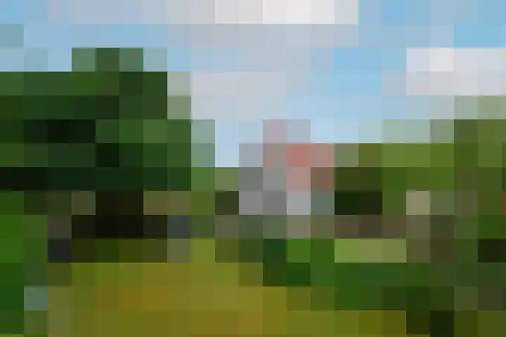 Steenwijkerweg 107 De Blesse thumbnail 5