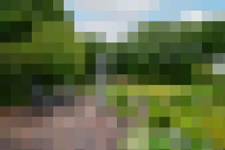 Steenwijkerweg 107 De Blesse thumbnail 6