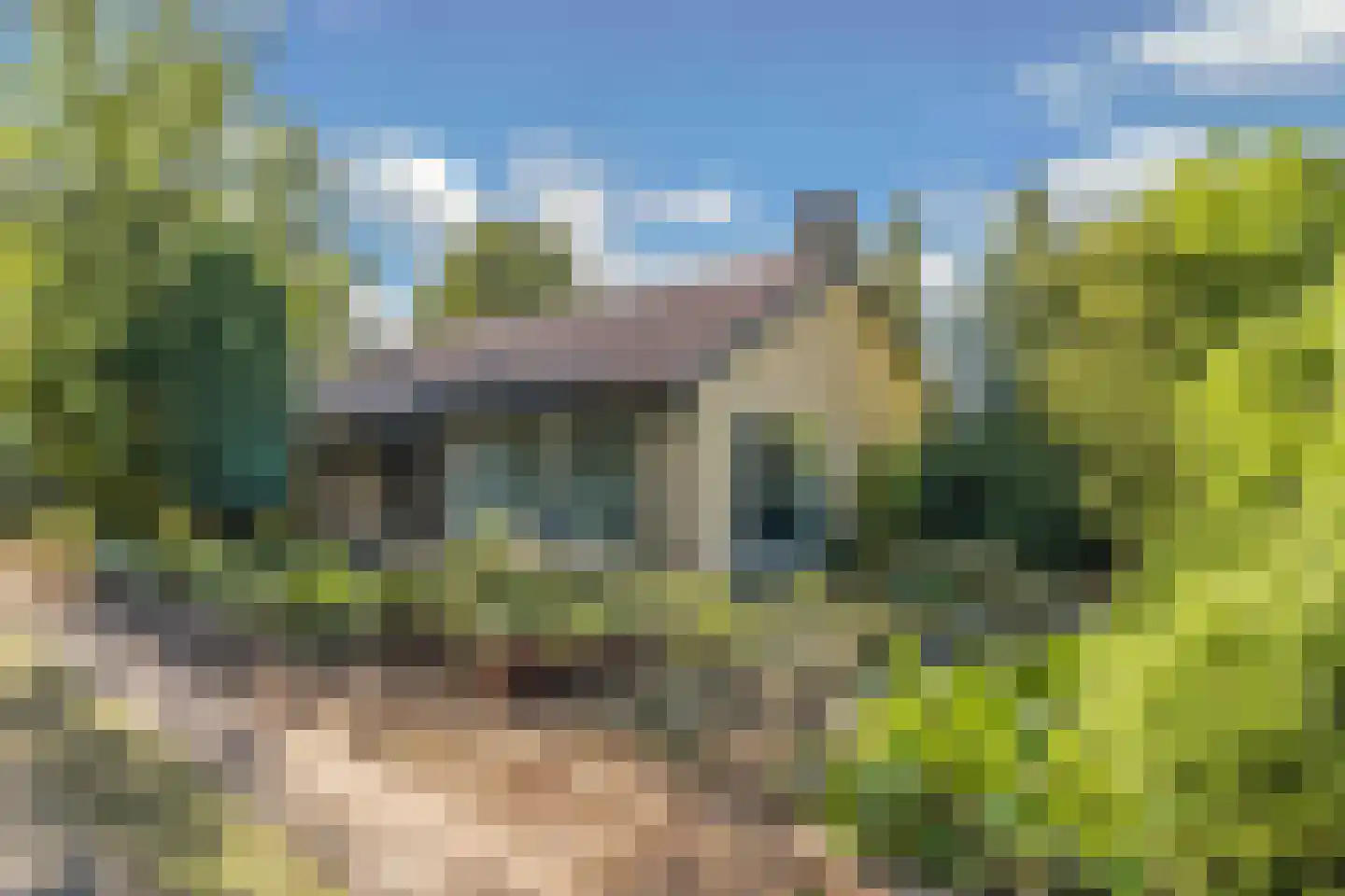 Steenwijkerweg 158 De Blesse thumbnail 4