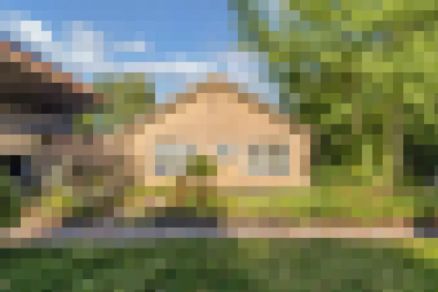 Steenwijkerweg 158 De Blesse thumbnail 43