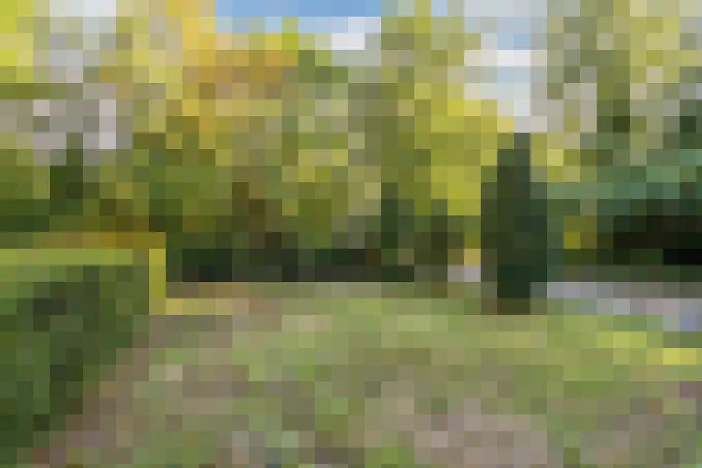 Steenwijkerweg 158 De Blesse thumbnail 44