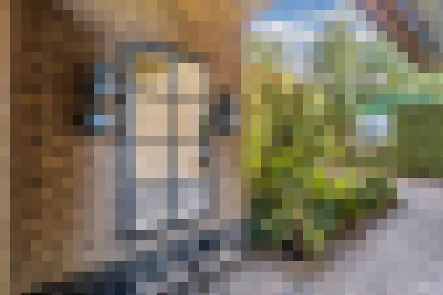 Steenwijkerweg 158 De Blesse thumbnail 47