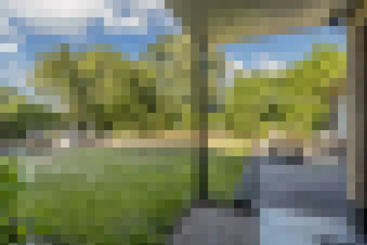 Steenwijkerweg 158 De Blesse thumbnail 48
