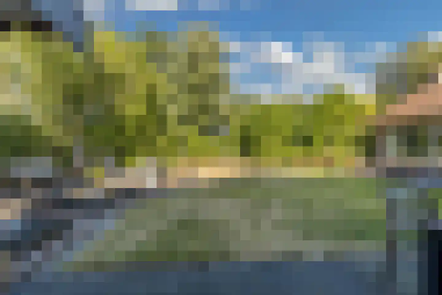 Steenwijkerweg 158 De Blesse thumbnail 49