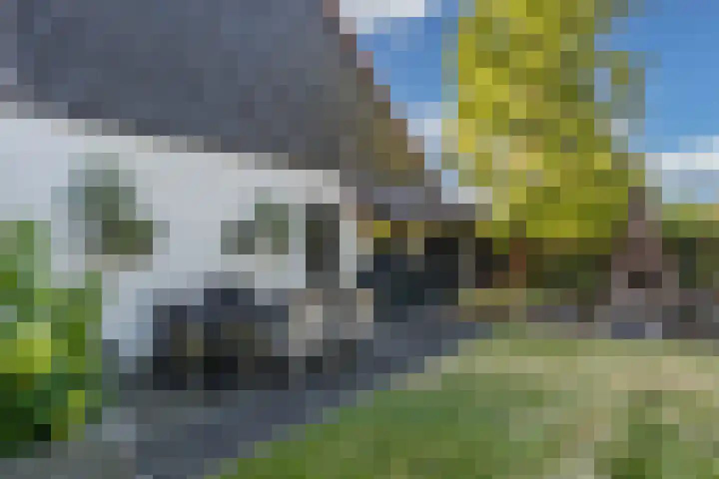 Steenwijkerweg 158 De Blesse thumbnail 53