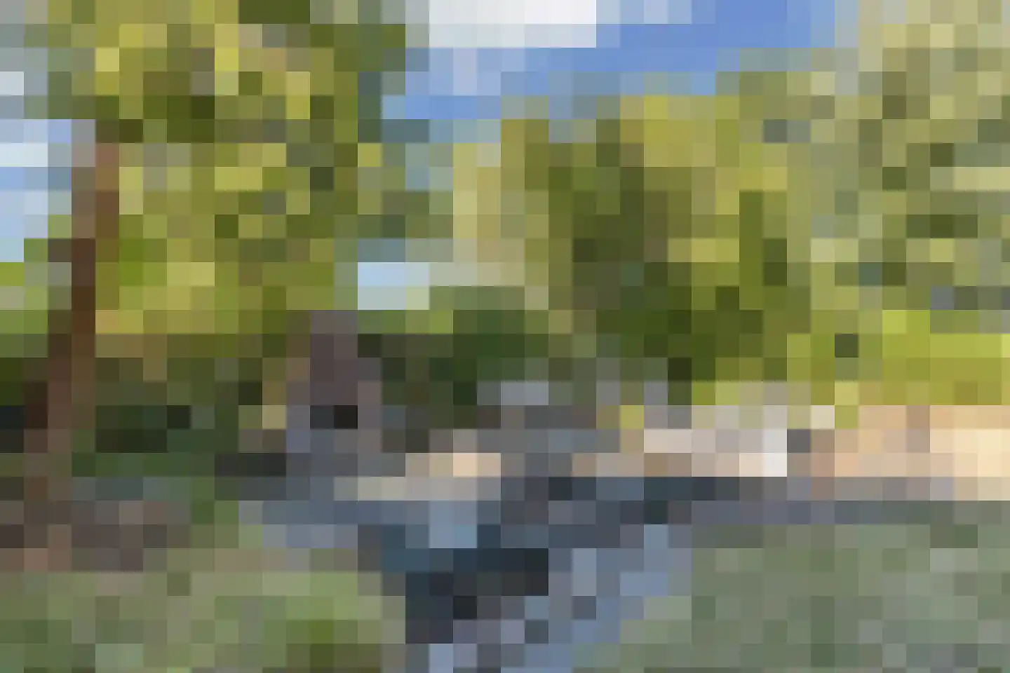 Steenwijkerweg 158 De Blesse thumbnail 57