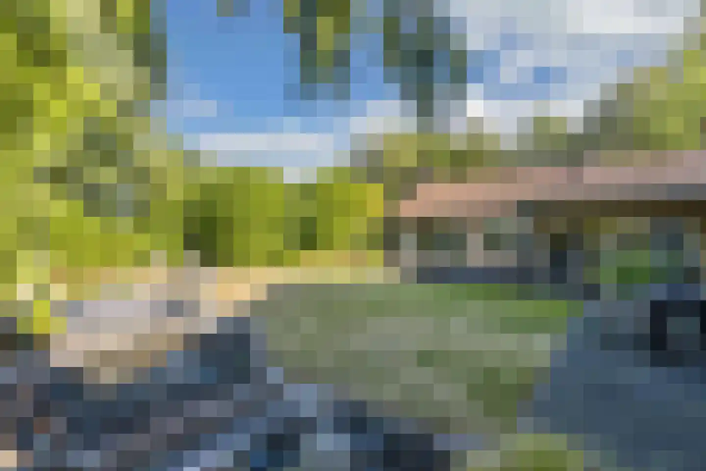 Steenwijkerweg 158 De Blesse thumbnail 59