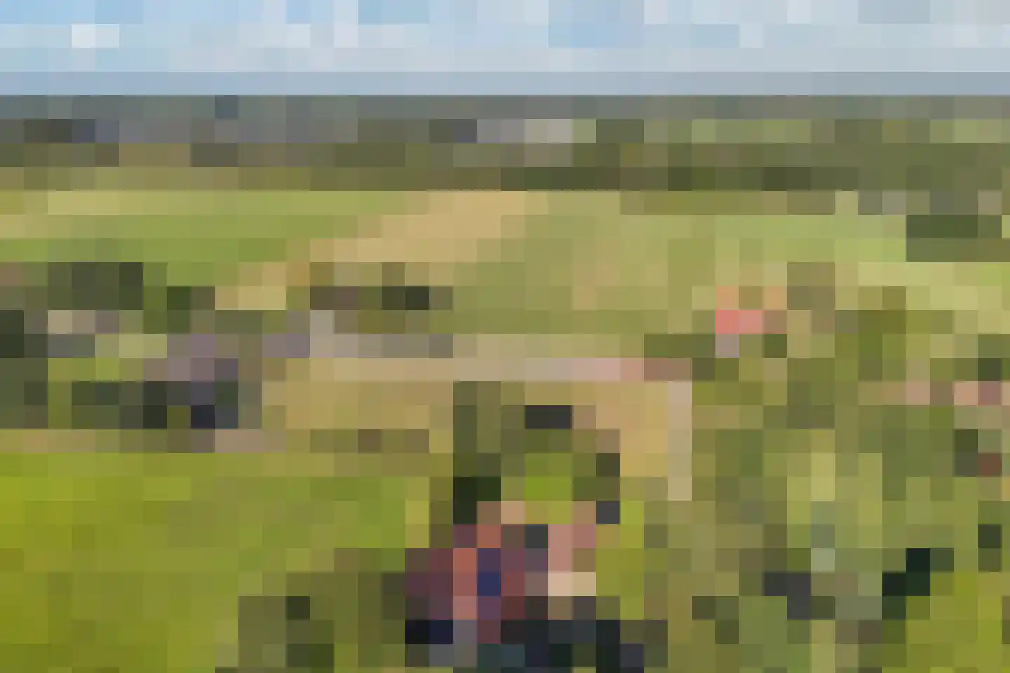 Steenwijkerweg 158 De Blesse thumbnail 61