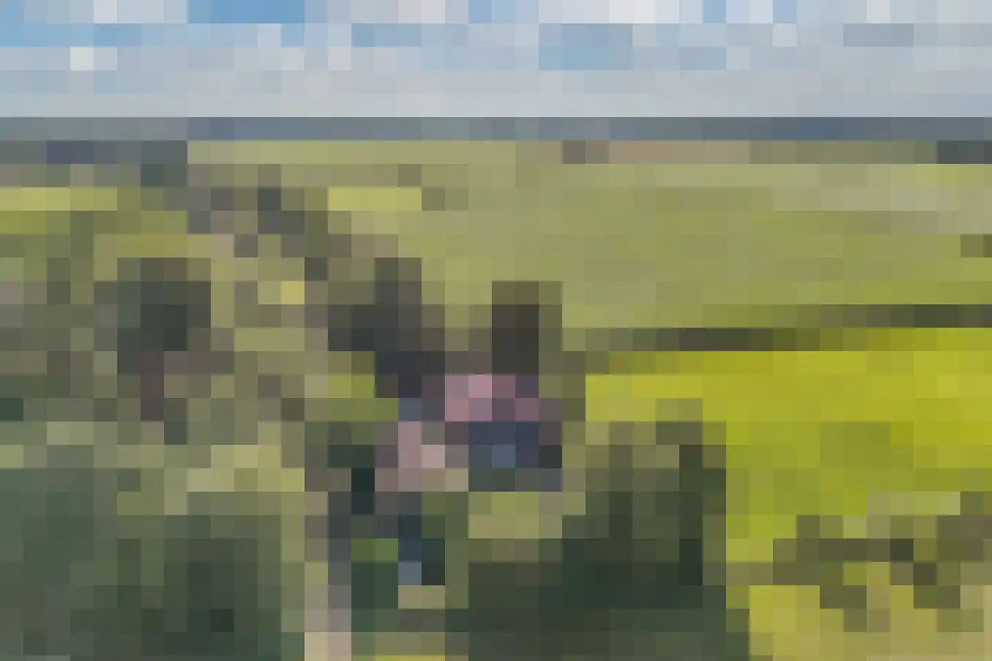 Steenwijkerweg 158 De Blesse thumbnail 62
