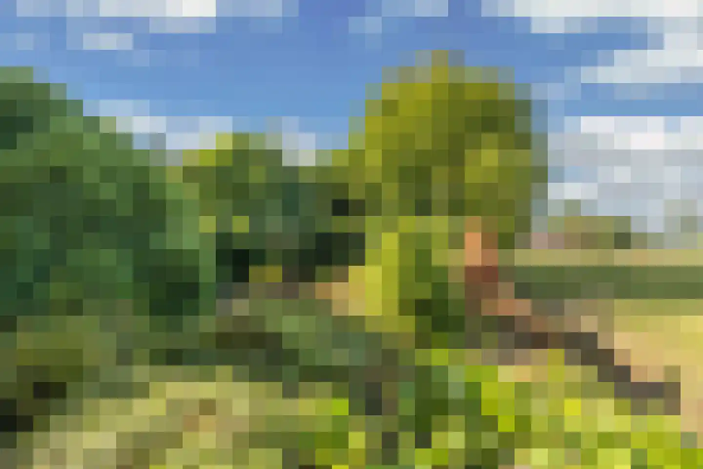 Steenwijkerweg 158 De Blesse thumbnail 63