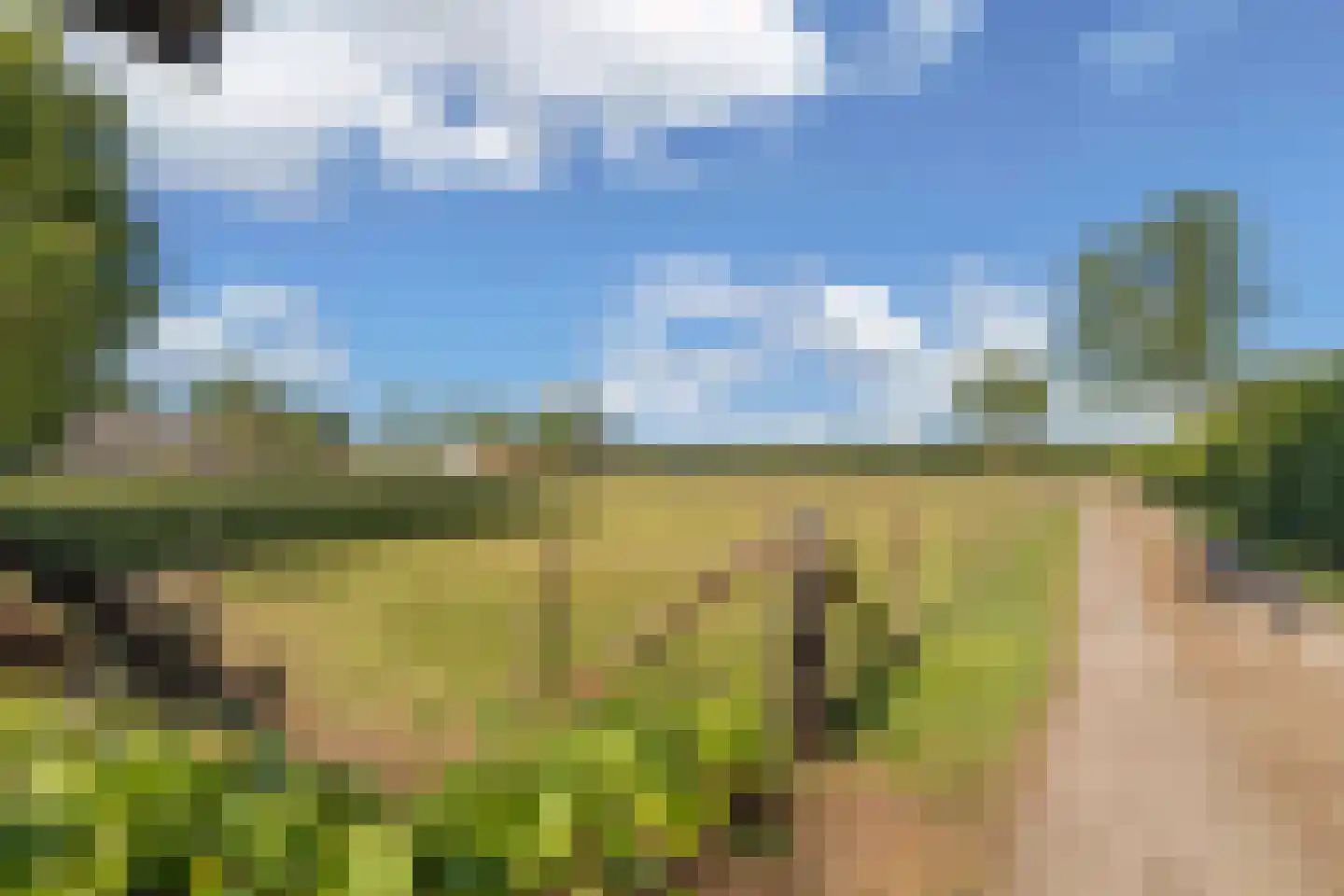 Steenwijkerweg 158 De Blesse thumbnail 64