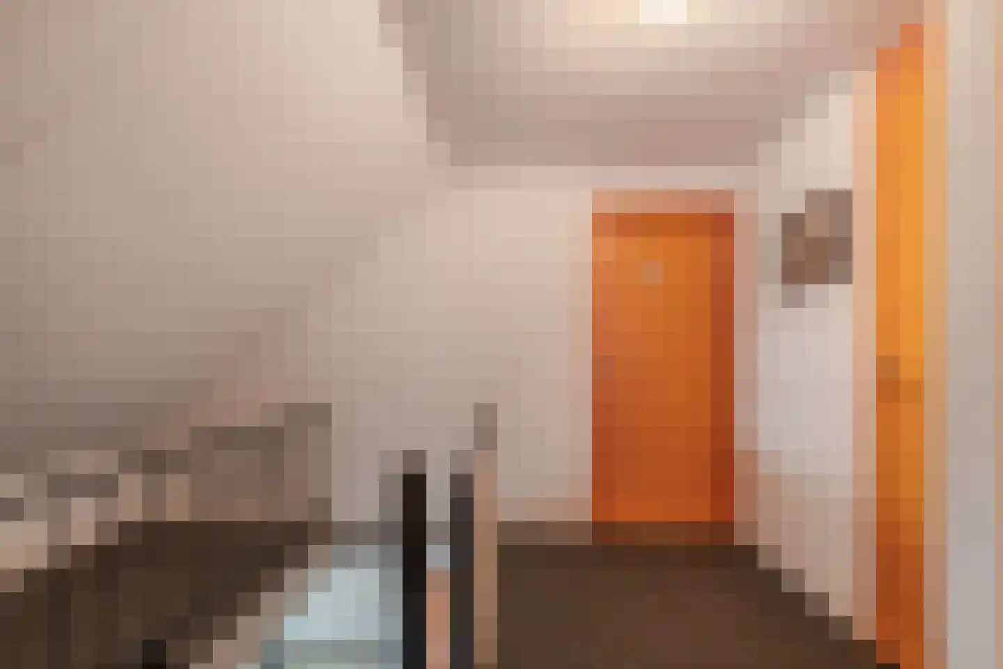 Steenwijkerweg 18 De Blesse thumbnail 24