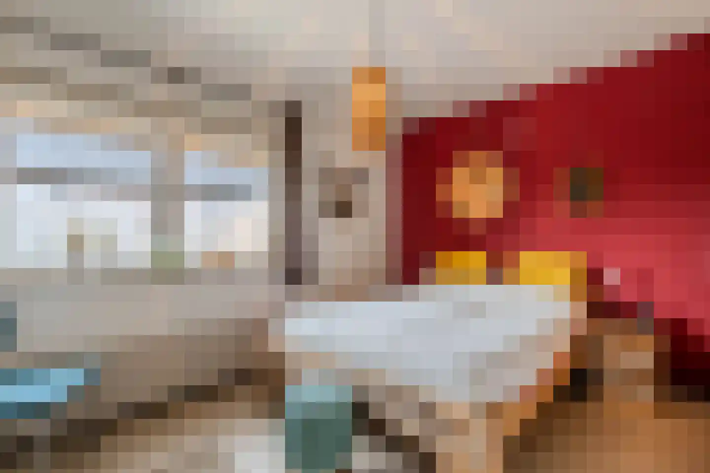 Steenwijkerweg 18 De Blesse thumbnail 25