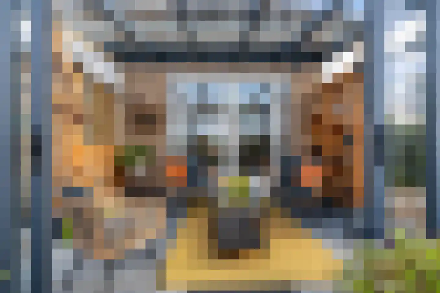 Steenwijkerweg 18 De Blesse thumbnail 39