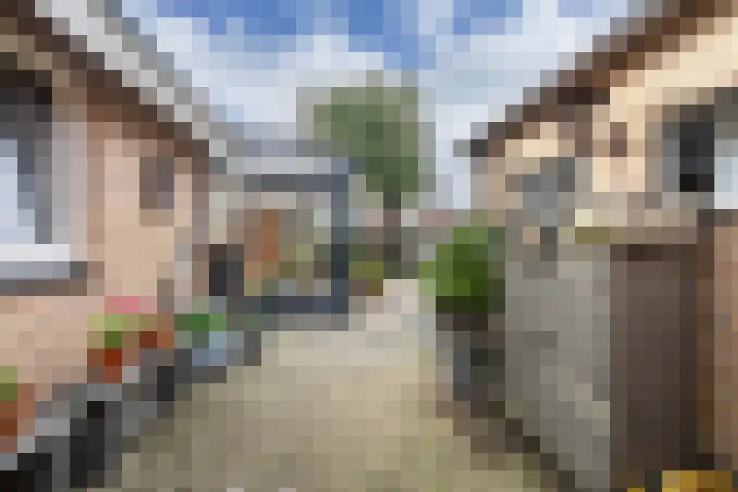 Steenwijkerweg 18 De Blesse thumbnail 41