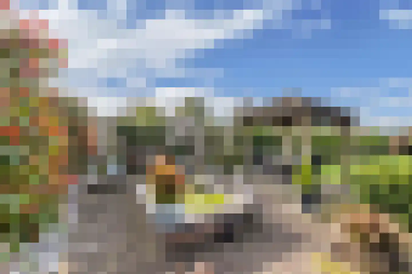 Steenwijkerweg 18 De Blesse thumbnail 43