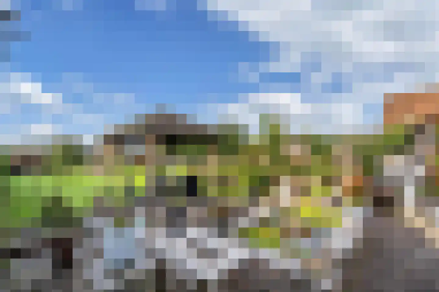 Steenwijkerweg 18 De Blesse thumbnail 44