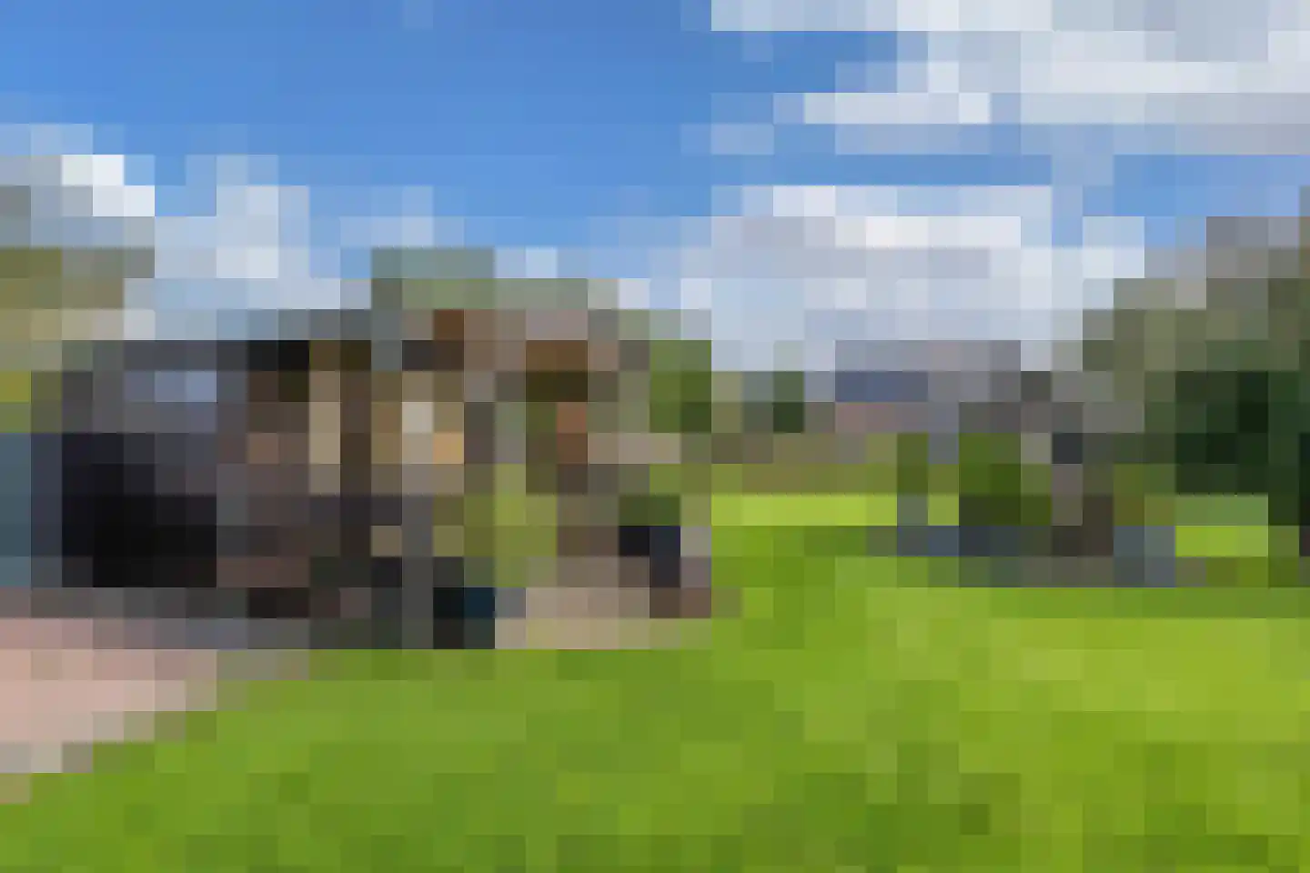Steenwijkerweg 18 De Blesse thumbnail 48