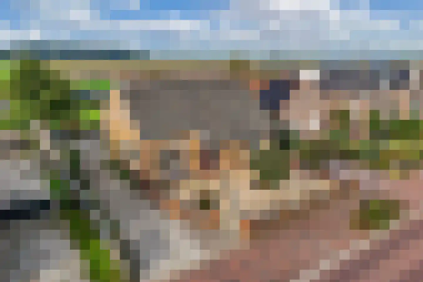 Steenwijkerweg 18 De Blesse thumbnail 5
