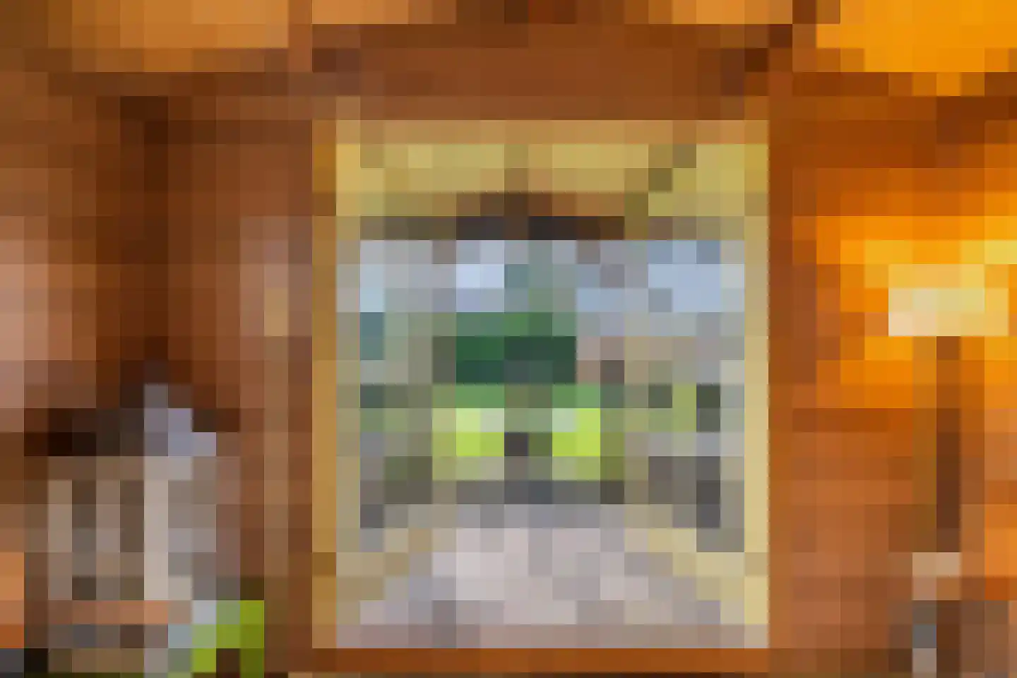 Steenwijkerweg 18 De Blesse thumbnail 50