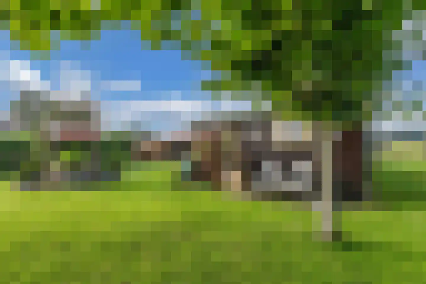 Steenwijkerweg 18 De Blesse thumbnail 52