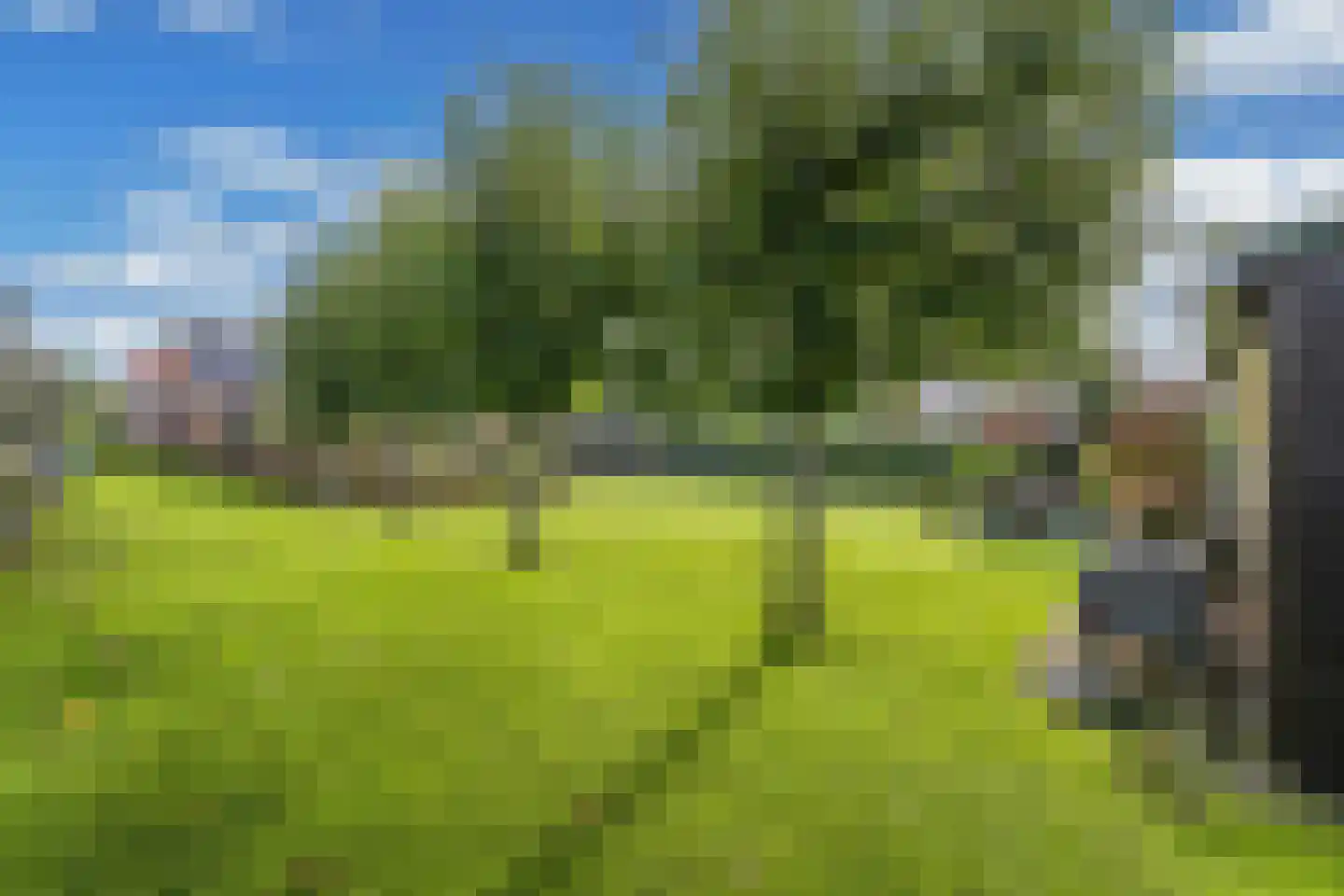Steenwijkerweg 18 De Blesse thumbnail 55
