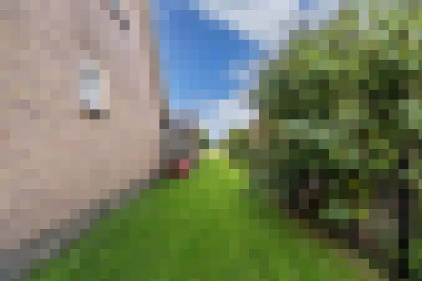 Steenwijkerweg 18 De Blesse thumbnail 57