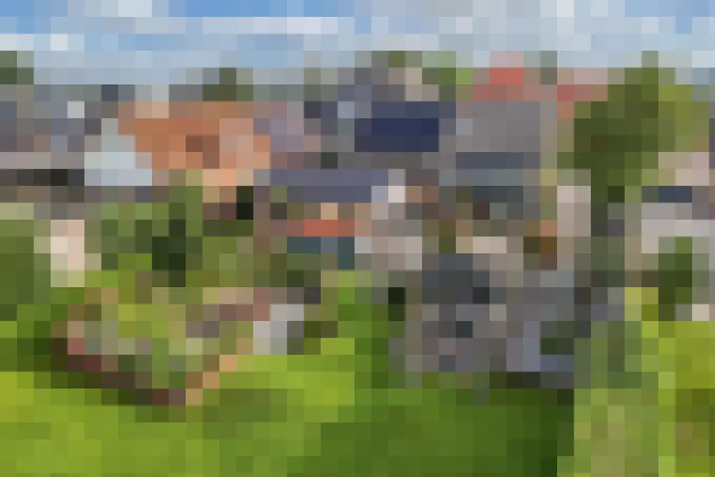 Steenwijkerweg 18 De Blesse thumbnail 58