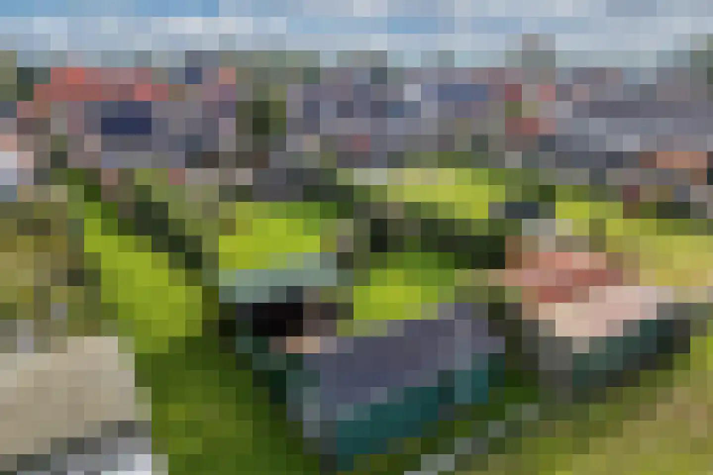 Steenwijkerweg 18 De Blesse thumbnail 59