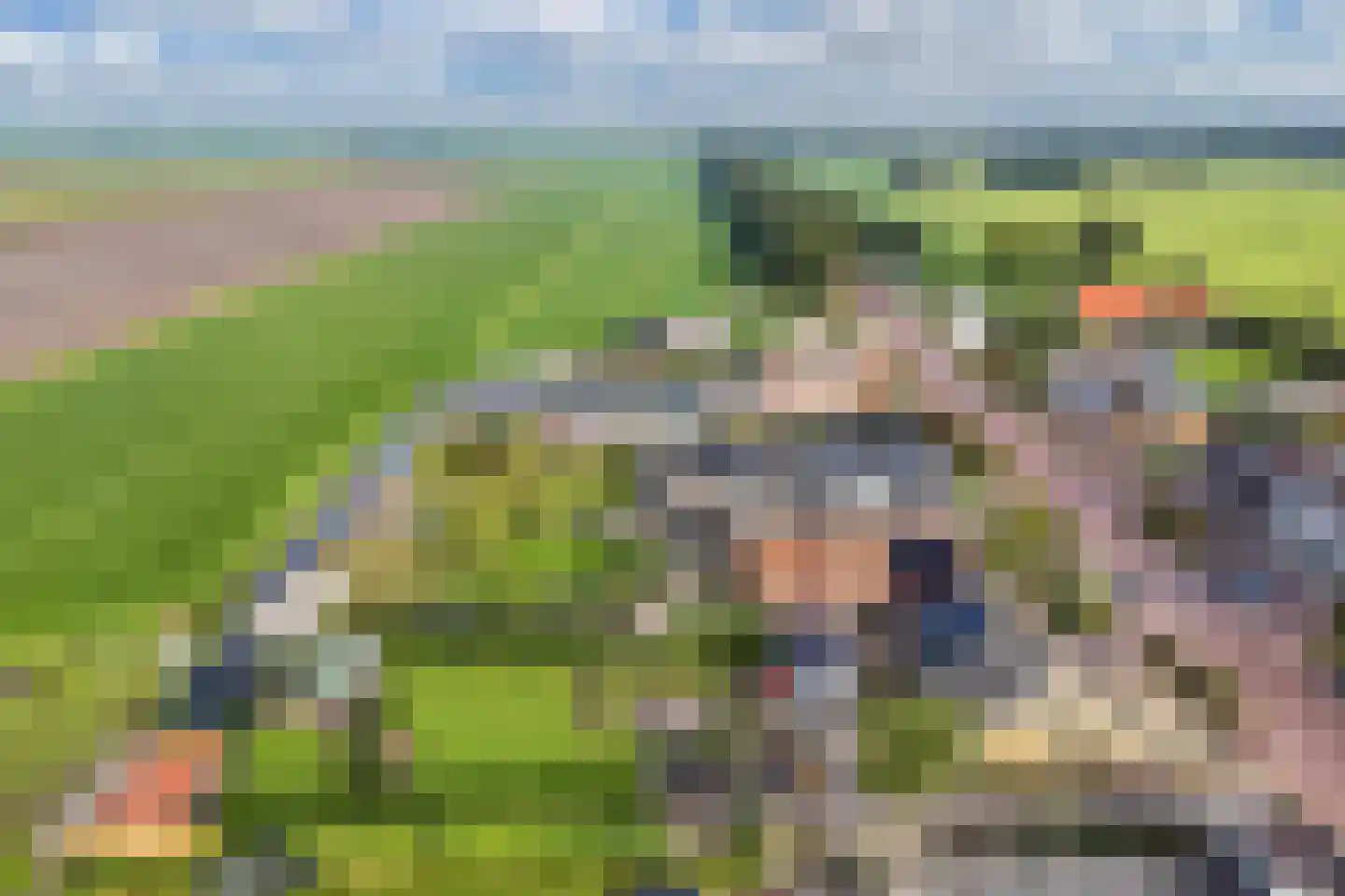 Steenwijkerweg 18 De Blesse thumbnail 60