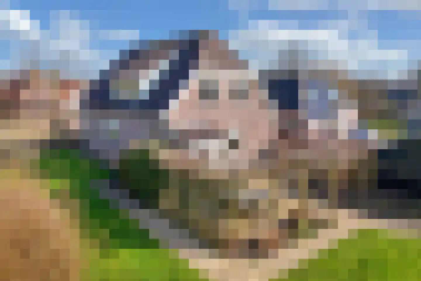 Steenwijkerweg 190 Willemsoord thumbnail 42
