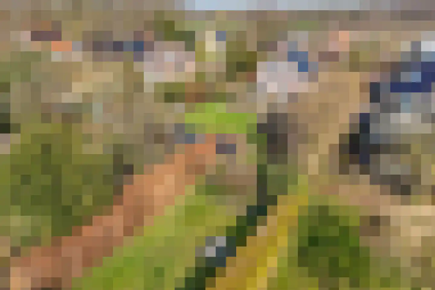 Steenwijkerweg 190 Willemsoord thumbnail 47