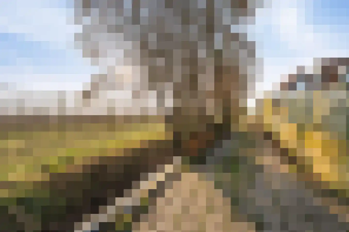 Steenwijkerweg 21 C Marknesse thumbnail 24