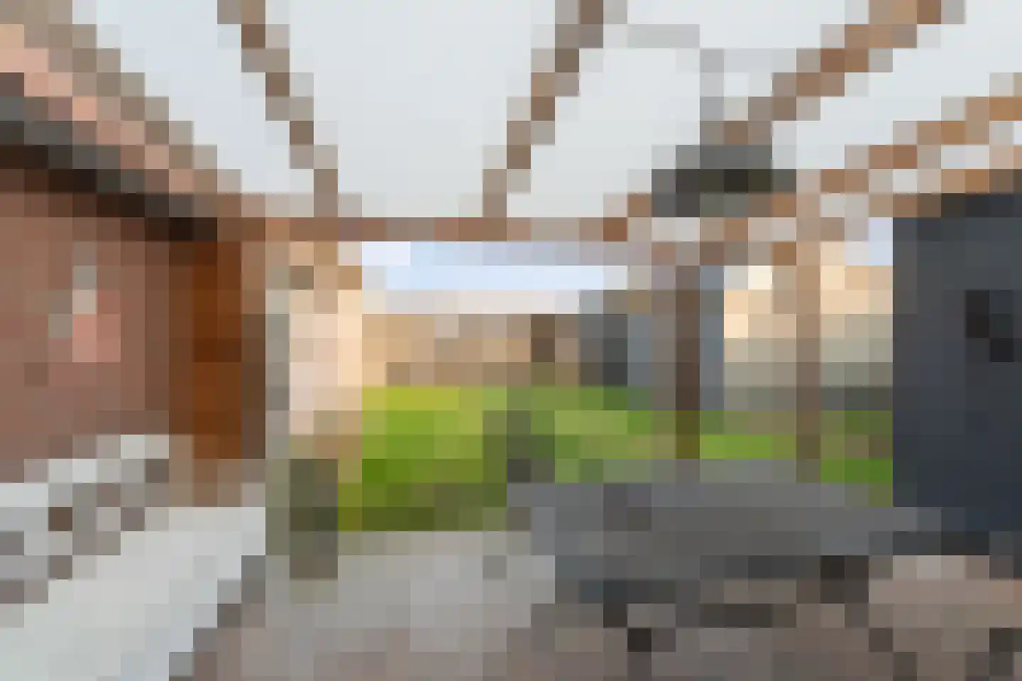 Steenwijkerweg 21 C Marknesse thumbnail 31