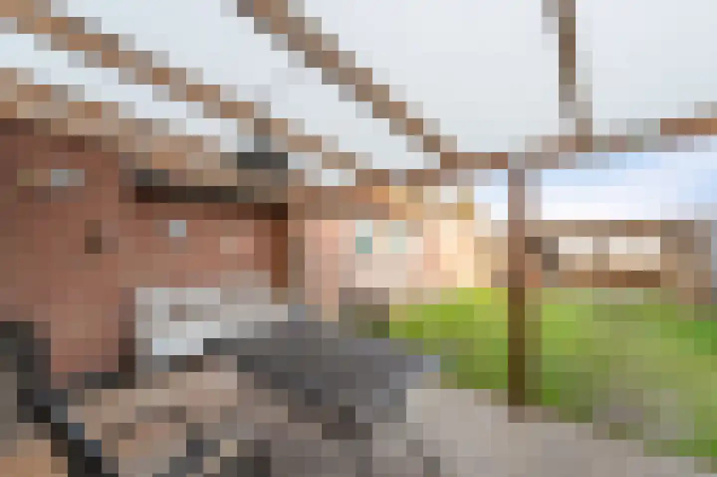 Steenwijkerweg 21 C Marknesse thumbnail 4