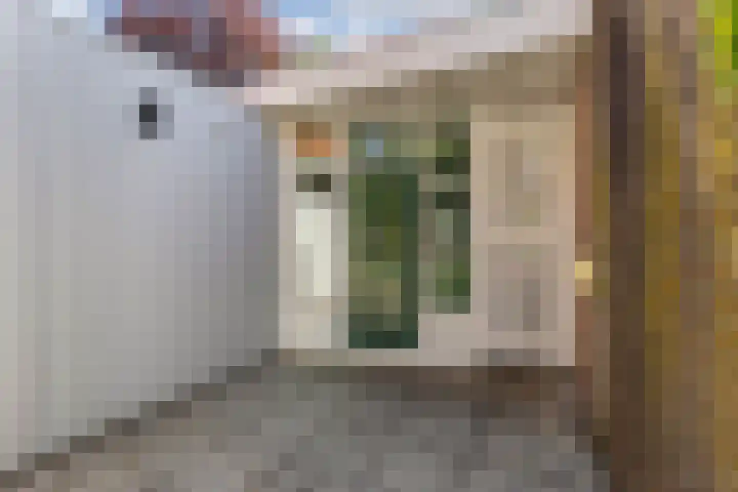 Steenwijkerweg 26 Wolvega thumbnail 33
