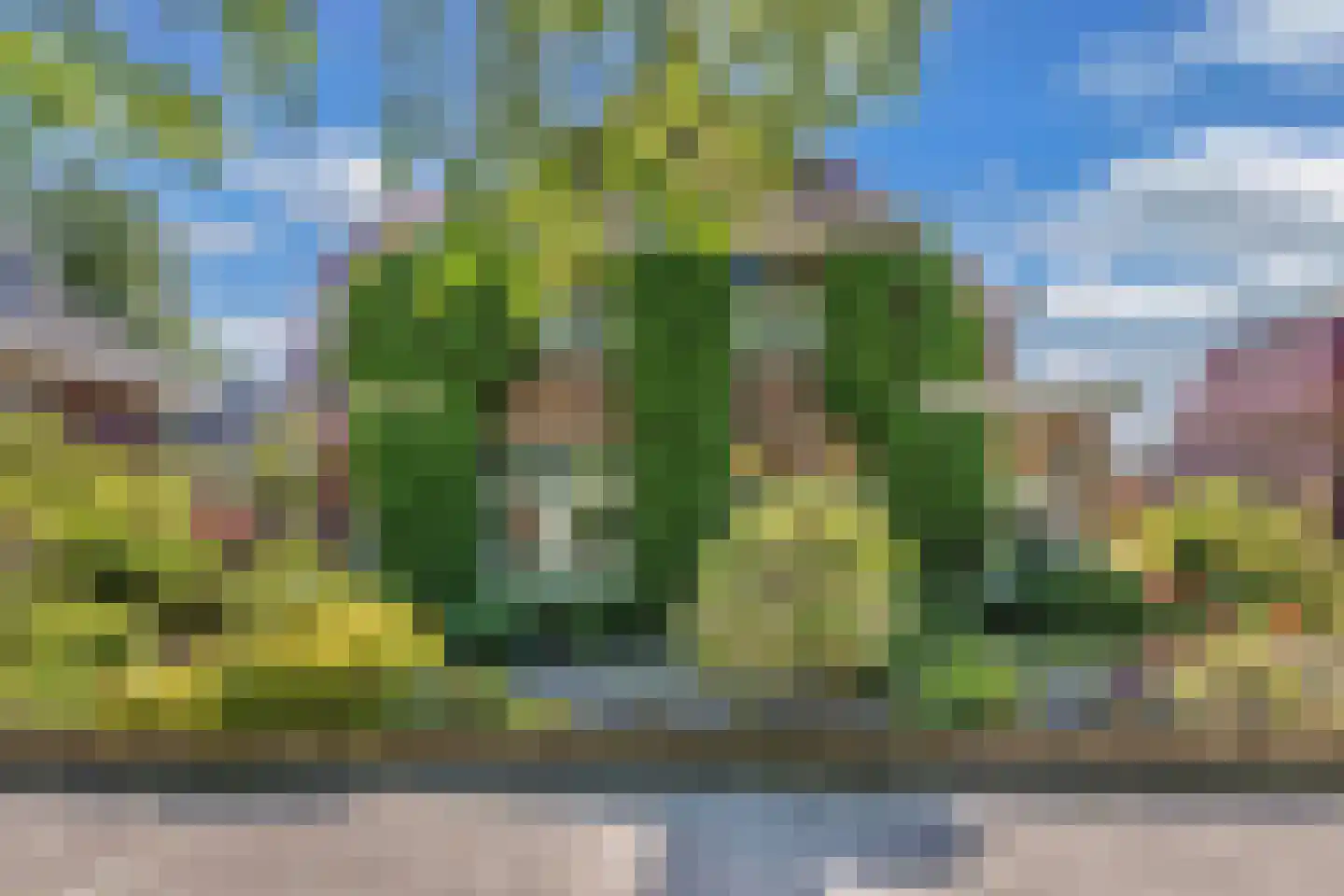 Steenwijkerweg 26 Wolvega thumbnail 4