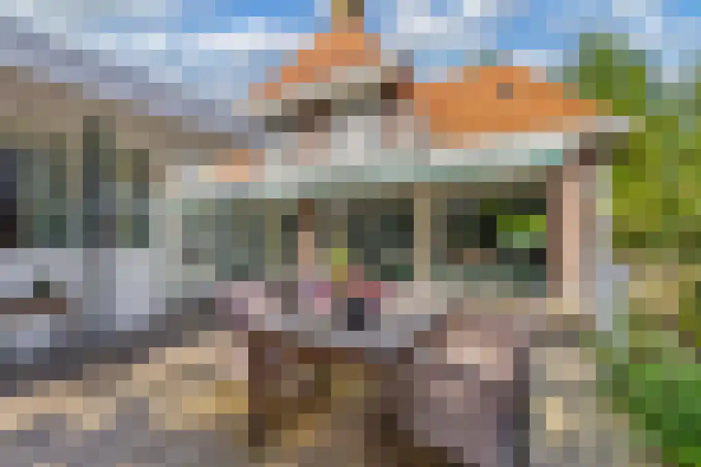Steenwijkerweg 26 Wolvega thumbnail 41