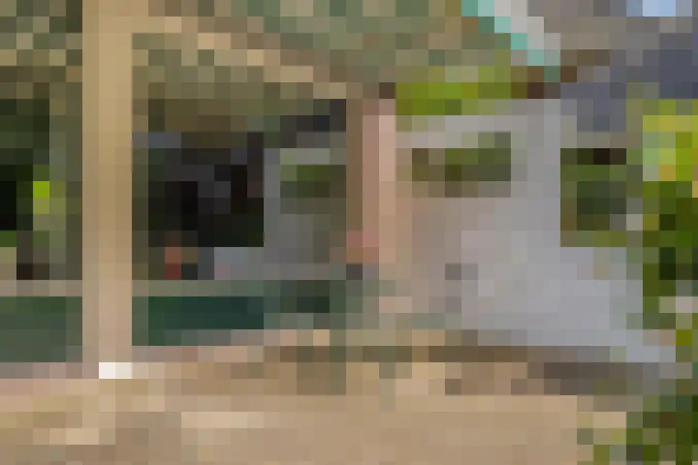 Steenwijkerweg 26 Wolvega thumbnail 44